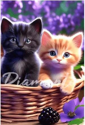 Los Gatitos Premium